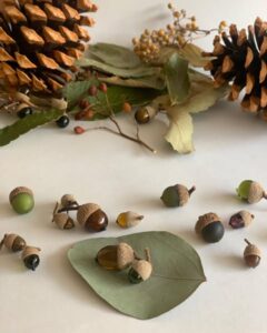 Lamp work co-cochiギャラリー0